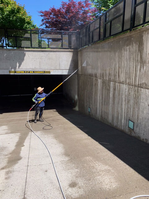 Pressure washing of moss from a wall